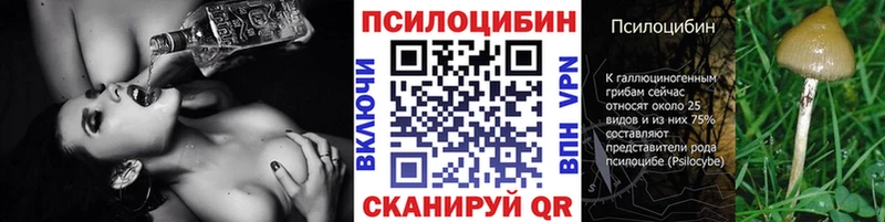 Купить  Кумертау  Псилоцибиновые грибы Magic Shrooms 