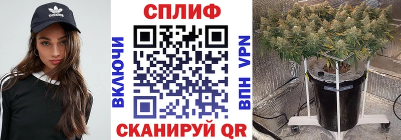 Бошки марихуана VHQ Купить где Кумертау